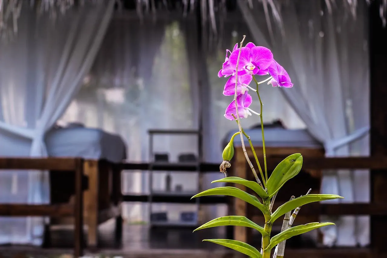 بونتا كانا Secret Paradise Room 1 Near To The Beach 0*, بونتا كانا جمهورية الدومينيكان